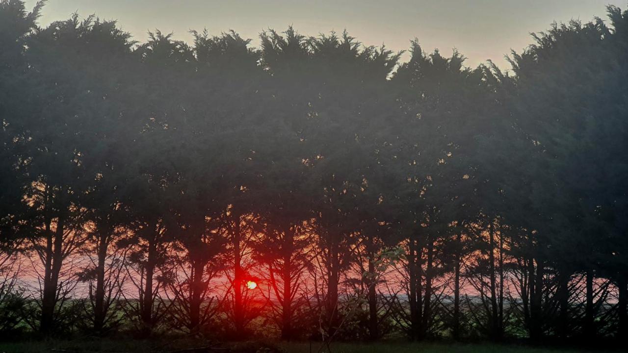 Bois De Crane Villa Landes-le-Gaulois Eksteriør billede